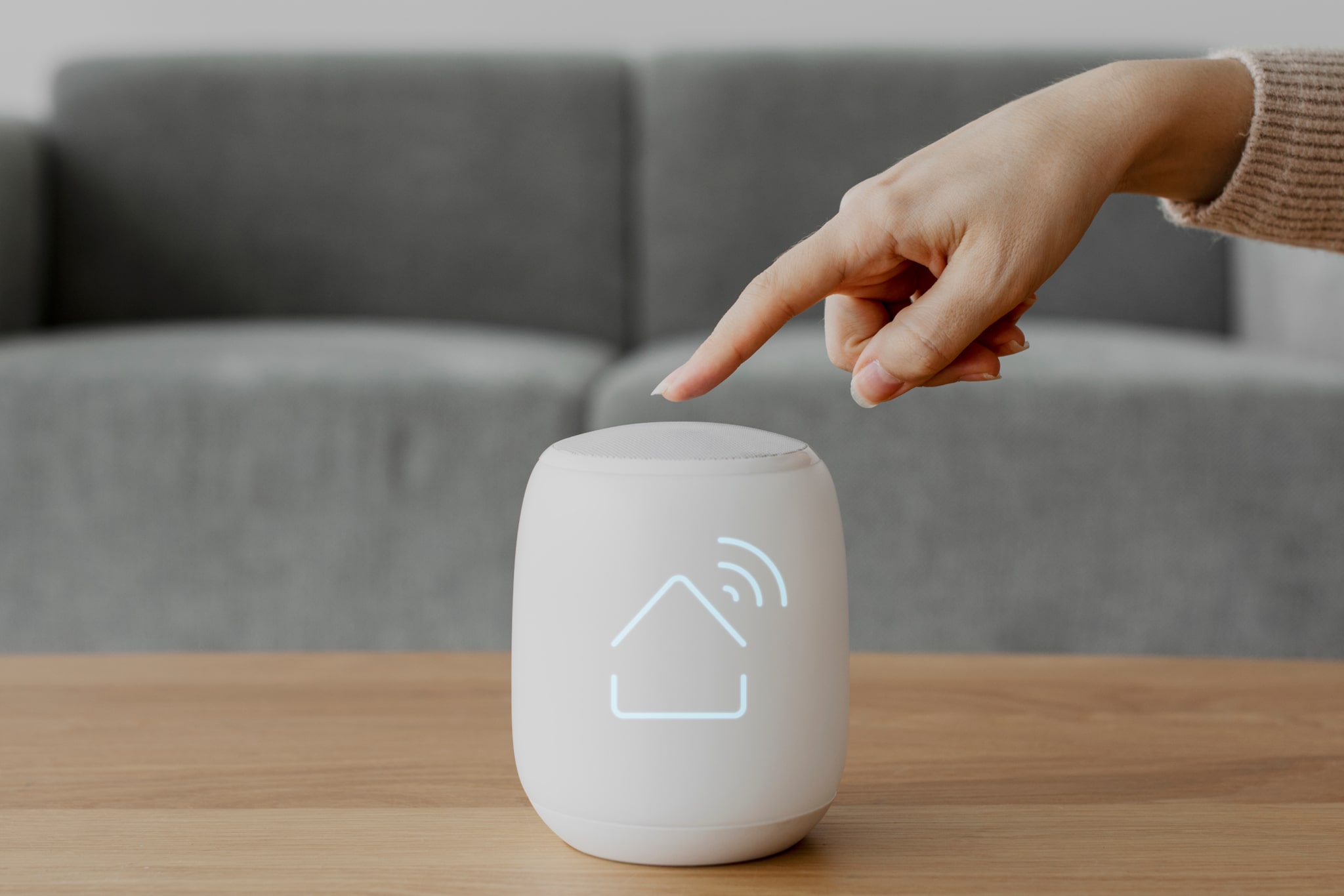 voice-assistant